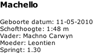 Machello   Geboorte datum: 11-05-2010 Schofthoogte: 1:48 m Vader: Machno Carwyn Moeder: Leontien Springt: 1.30
