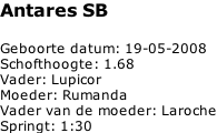 Antares SB  Geboorte datum: 19-05-2008 Schofthoogte: 1.68 Vader: Lupicor Moeder: Rumanda Vader van de moeder: Laroche Springt: 1:30
